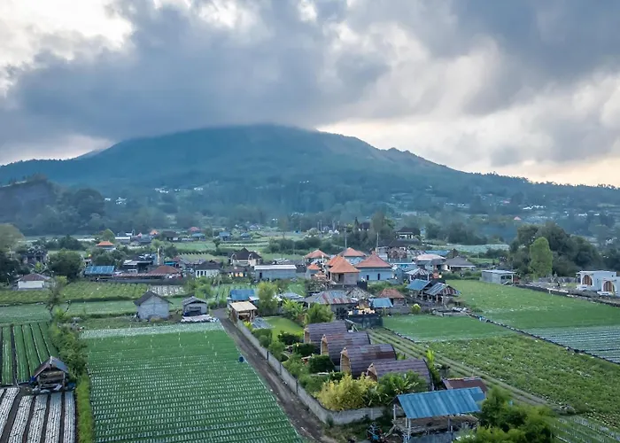 ロッジ Tegal Bamboo & Private Hot Spring Baturaja